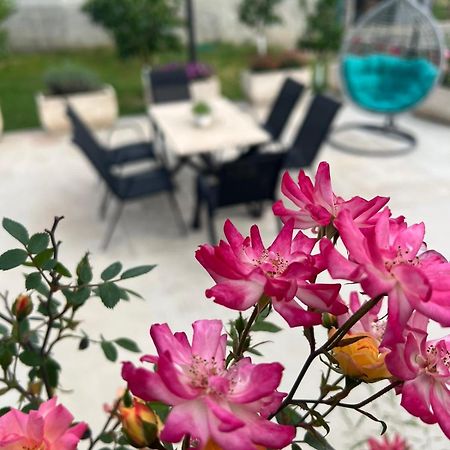 Apartament Sunny Hill - Parking - Fenced Garden - Luxury Loft Kotor Zewnętrze zdjęcie